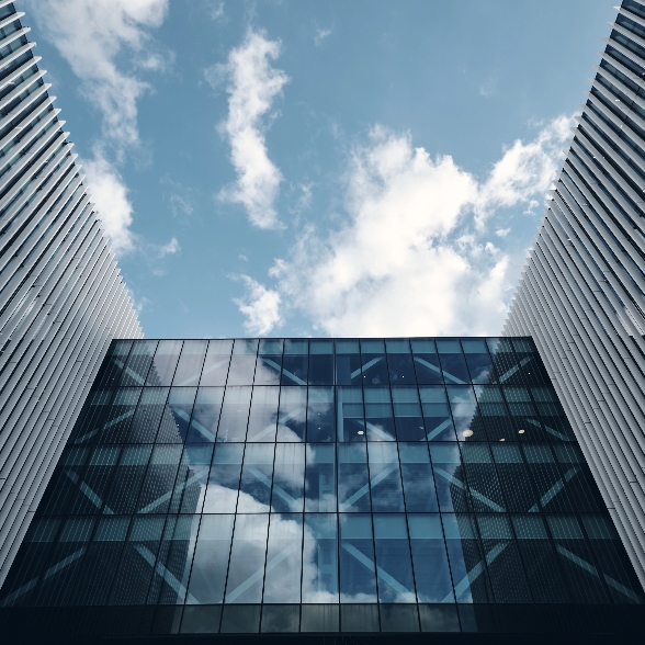 Ecossistema internacional